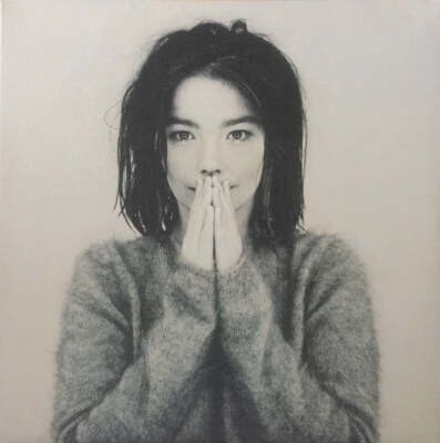 洋楽 Bjork/Debut LP s-l400.jpg