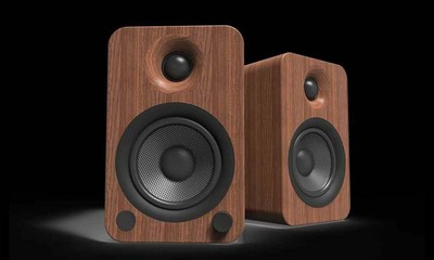 powered bookshelf speakers canada