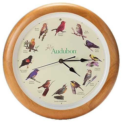 Supreme x Audubon - Bird Call - SS20 - Red - Brand New | eBay