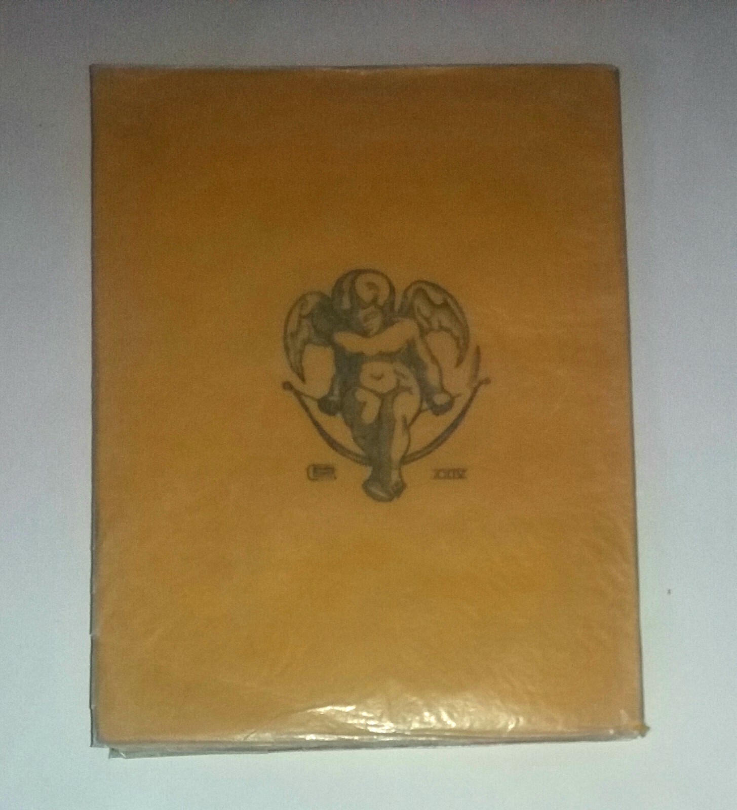 Picture 6 of 6