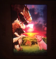BABE Movie ORIGINAL SLIDE Universal City Studios 5461ADV1