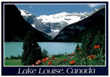 Lake Louise, Canada, Banff National Park, Icelandic Poppies, Shirley Postcard