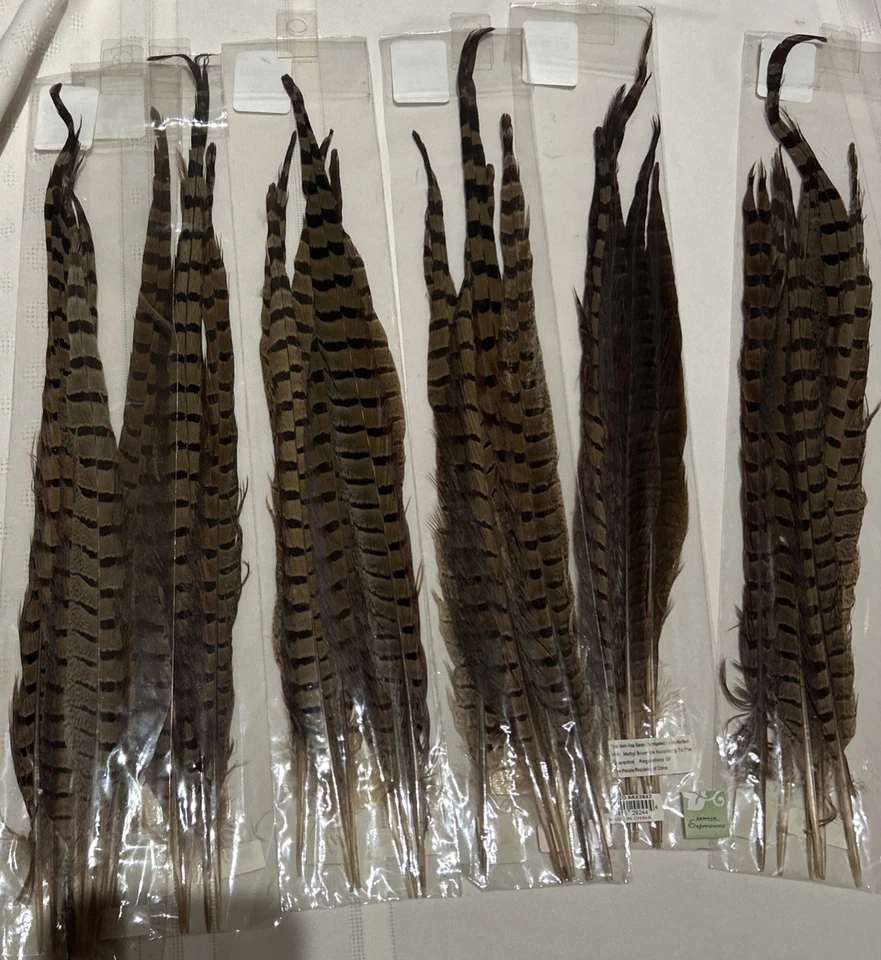 PLUMA DE FAISÁN TALLAS 14-16" ¡Nueva! (Paquete con 6 plumas) Foto 4 de 4