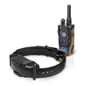 dogtra 3 dog system
