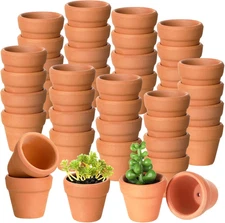 Gerrii 50 Pcs Mini 1. 2 Inch Terracotta Pots Bulk Small Clay Tiny Miniature Cact