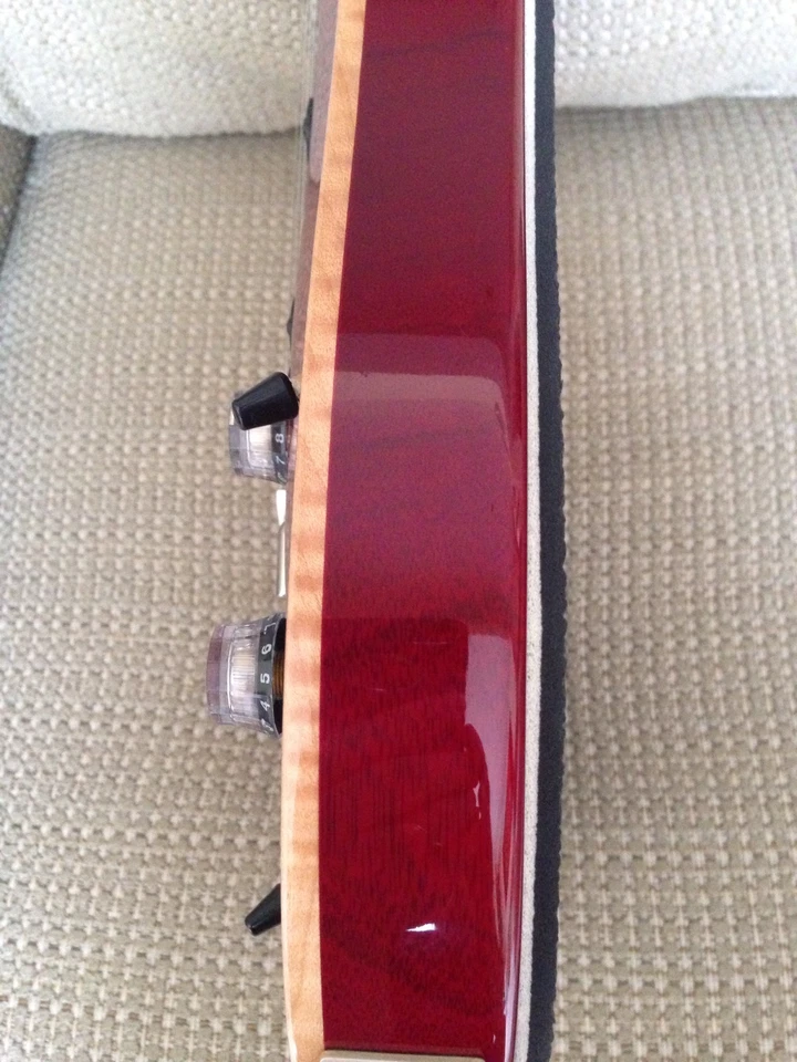 BackGuard Protege Tu Guitarra Brillo Poli Acabado, Hebillas, Botones, Almohadilla Antiarañazos Foto 3 de 4