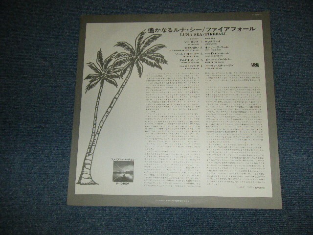 Picture 3 of 8