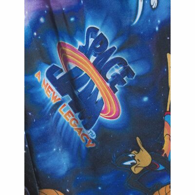 VINTAGE】ラグ マット SPACE JAM ルーニーテューンズ MJ VINTAGE】ラグ