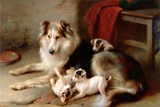 Hand painted art Oil painting beautiful dogs mother babies three puppies playing