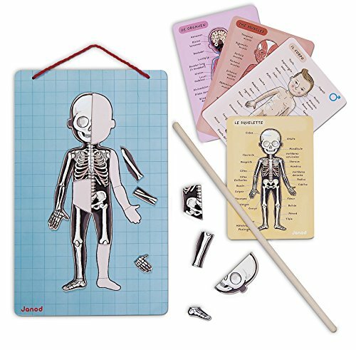 Магнит для тела Janod 19990₽