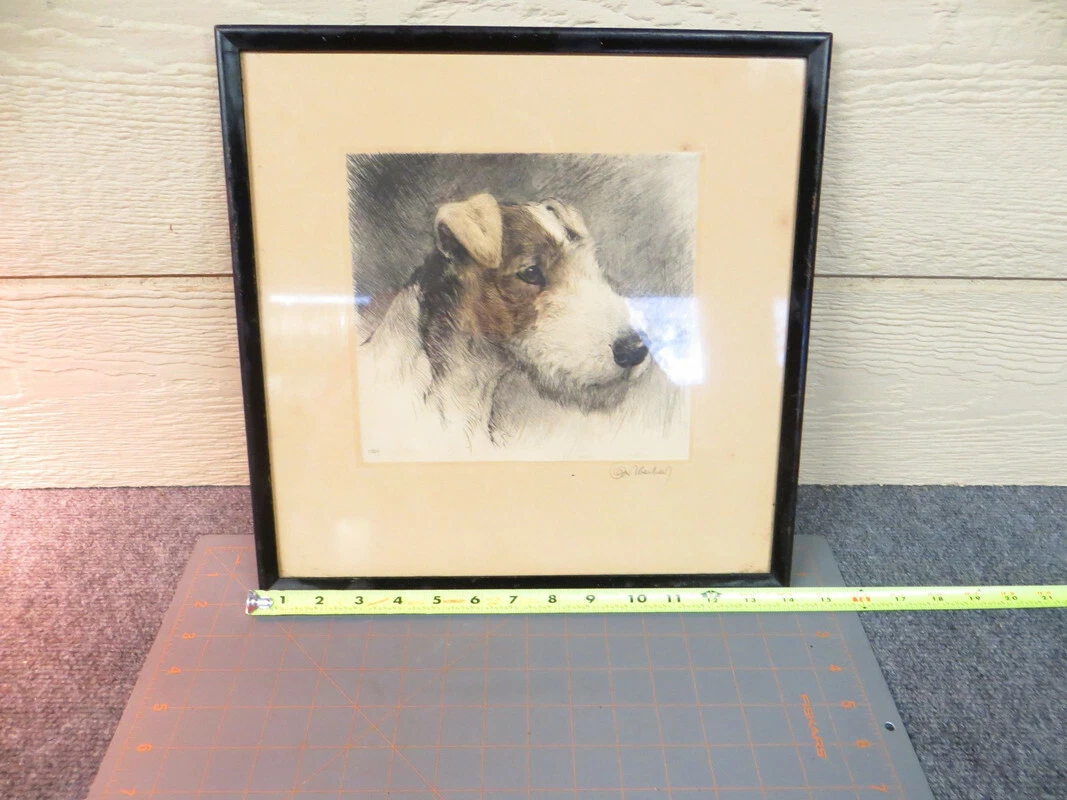Wiry terrier top