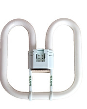TWO PIN 28W 2D LAMP ENERGY SAVING FLUORESCENT LIGHT WARM WHITE 3500K
