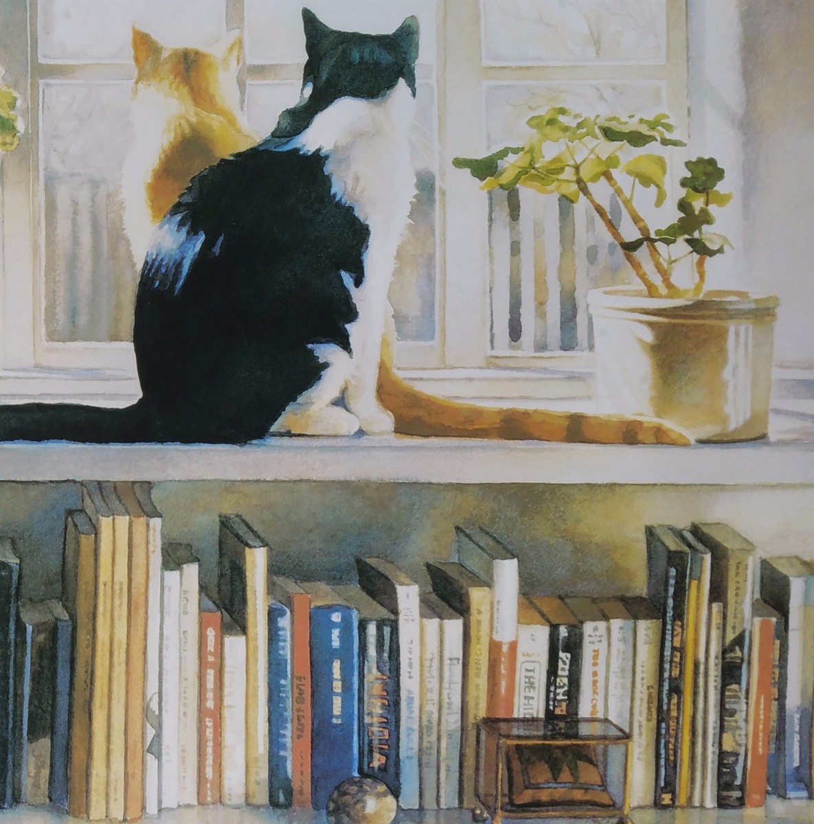 Steve Hanks, 