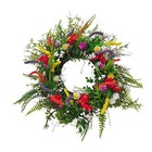 Bild 5 von 7