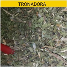 Tronadora Retama  1pound Esperanza Tacoma Stans 