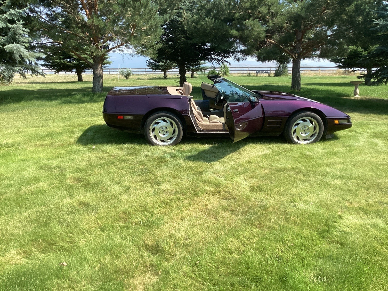 1993 black rose metallic Chevrolet Corvette   | C4 Corvette Photo 7
