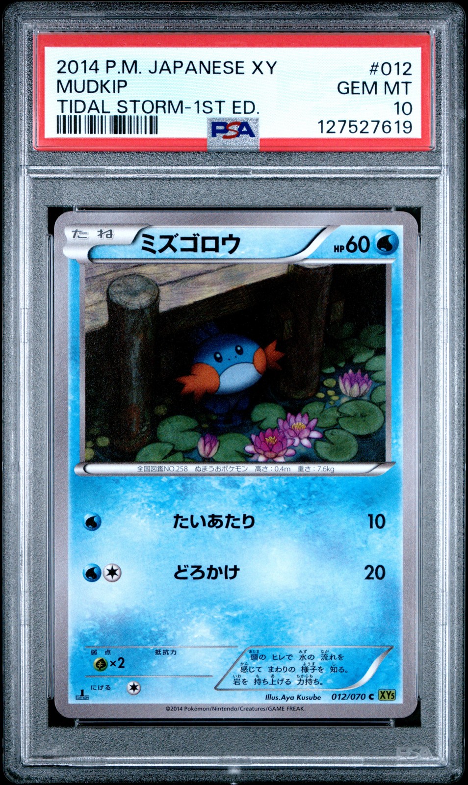 2014 POKEMON JAPANESE XY TIDAL STORM 1ST EDITION #012 MUDKIP PSA 10