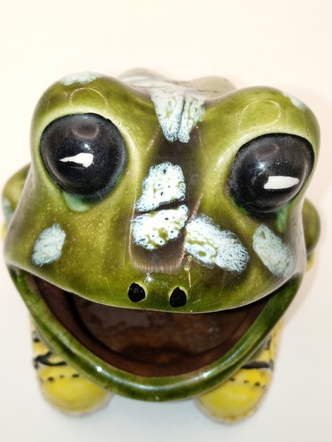 VTG Frog Sponge Holder Ceramic MCM Green 70s Green Blue Frog Yellow Sneakers - Picture 2 of 10
