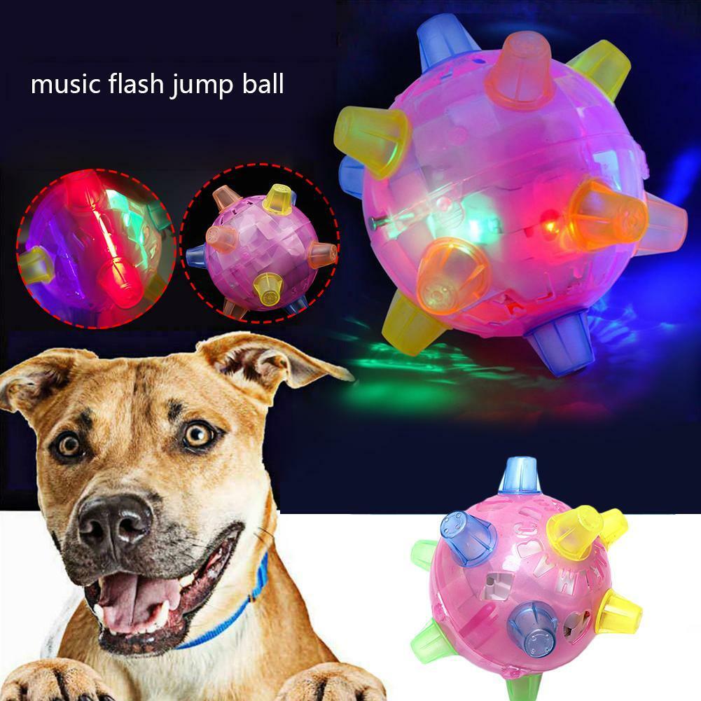 Jumping ball top for dogs