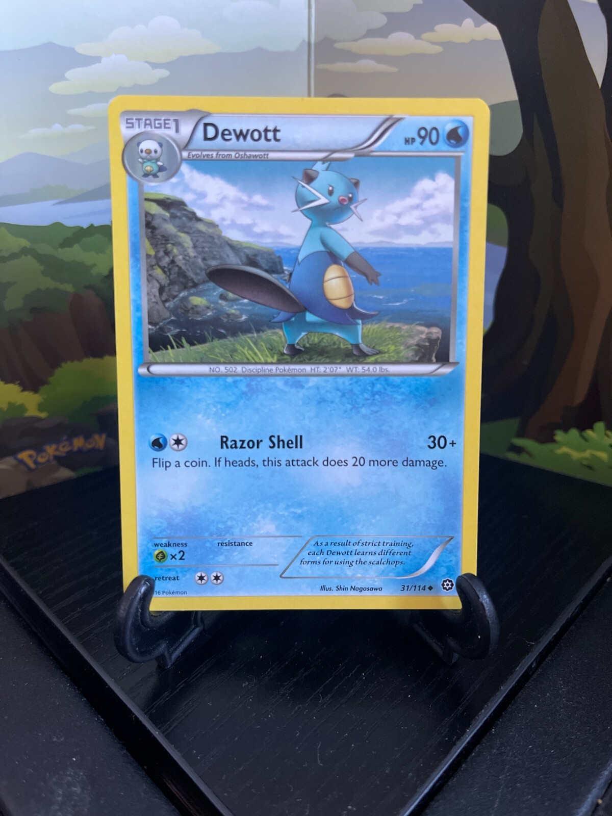 Dewott 31/114 - Steam Siege - Uncommon - Pokemon Card TCG - LP