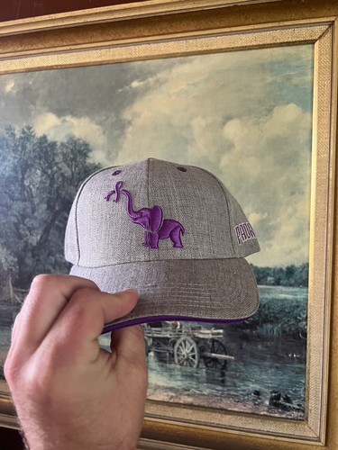 San Diego Padres Alzheimer's Awareness Theme Game Hat Cap Snapback NEW 9/18/23 - Picture 2 of 4