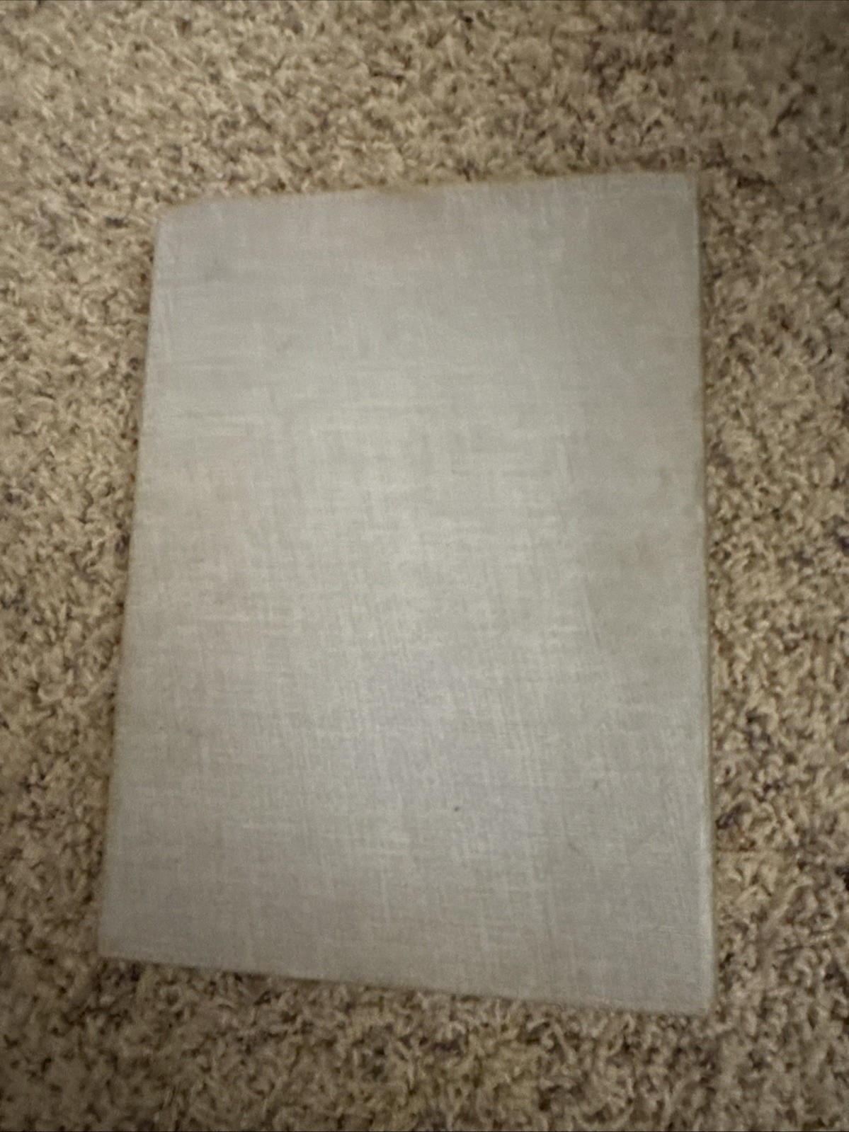 1899 Alice In Wonderland & Through The Looking Glass Blanche McManus