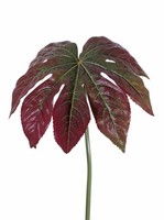 Artplants Deko Blatt Aralia Imana, Rot