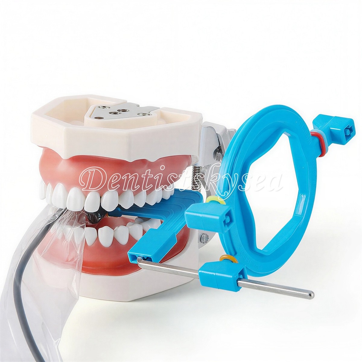 Dental X-Ray XCP Complete Positioning System Xray Kit Positioner