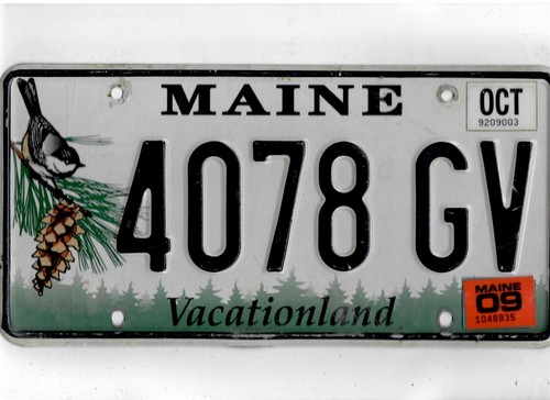 MAINE Beifahrer 2009 Kennzeichen "4078 GV"
