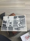 11 By 17 1961 Maris And Mantle 2 Separate Photos 1961 Out Of Print No COA — photo 3