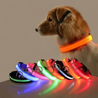 LED Dog Pet Collar USB Rechargeable Flashing Luminous Safety Night Light Up - Image 1 of 4
