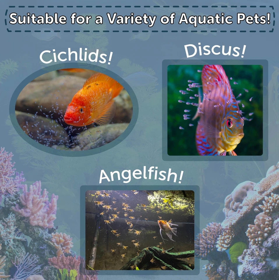 Brine Shrimp Eggs, Premium Grade 90% Hatch, Great Salt Lake (Artemia Cysts) Eggs - Image 4 of 4