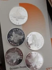 (5) Silver 1 Oz .999 Fine Silver Round from Sunshine Minting Silver Eagle Coin