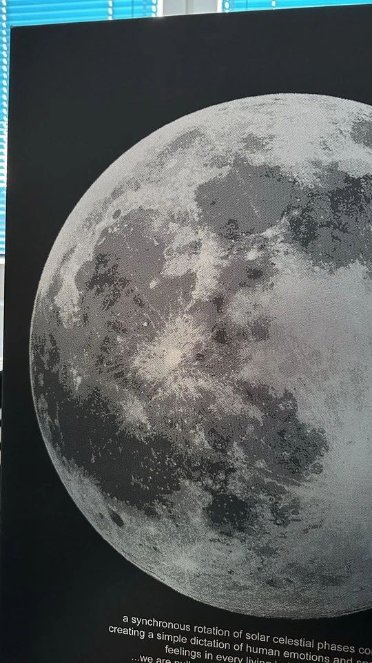 IKEA Mondphase  PJÄTTERYD Bild, Leinwand Voll Mondlicht, 50x70cm Rahmen Mond - Bild 4 von 4