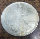 1995 American Silver Eagle 1 Oz .999 Fine Silver