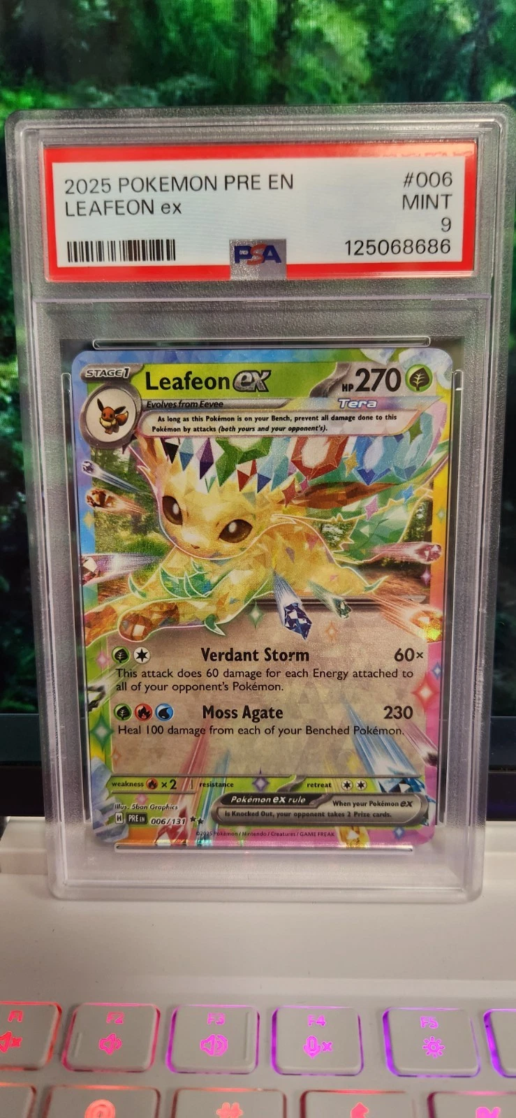 eBay