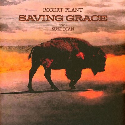 Robert Plant - Saving Grace (Vinyl LP - 2025 - Original)