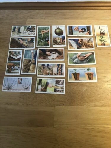 Pre - 2nd World War Flowers/Garden Collectable Cigarette Cards