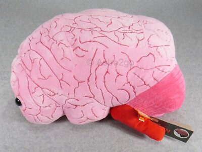 GIANT MICROBES-GIGANTIC BRAIN ORGAN-Stuffed Plush Mind Stem Cell Memory Anatomy | eBay