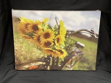 Print Bo Sunflower Light Up Wall Decor Canvas 15 3/4 x 12