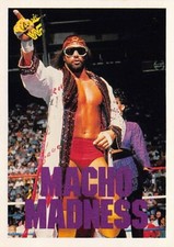 WWE / WWF 1990 Classic Games (Pick your Card)