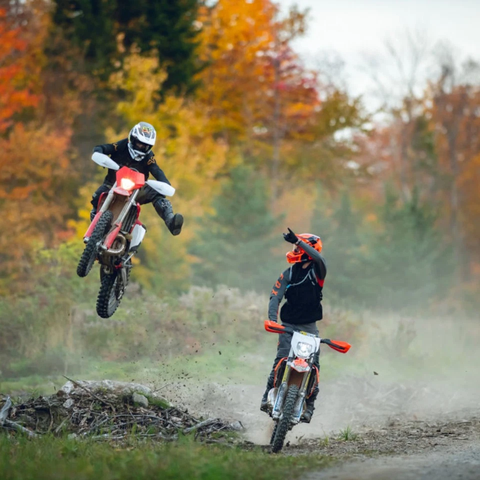 Juego de muelles de embrague Pro Circuit SPRNGS CLTCH CRF250R/X'20 Foto 3 de 4