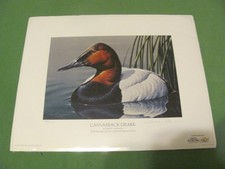 Ducks Unlimited Print NE Neal R Anderson Signed 2009 CANVASBACK DRAKE 33/1200