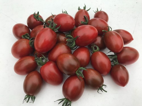 Tomatensamen Cocktail-Cherrytomate "Mini Roma" schwarz süß frische 10+ Samen! - Bild 2 von 8