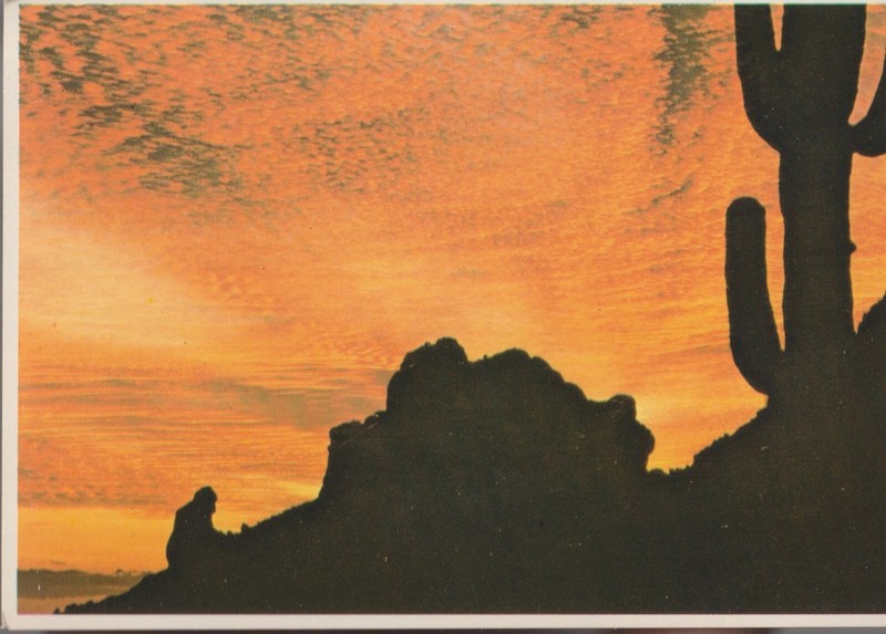Vintage Unposted Postcard "The Praying Monk at Sunset, Phoneix, Arizona"