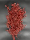 23 Inch Red Glitter Cedar Bush Hobby Lobby