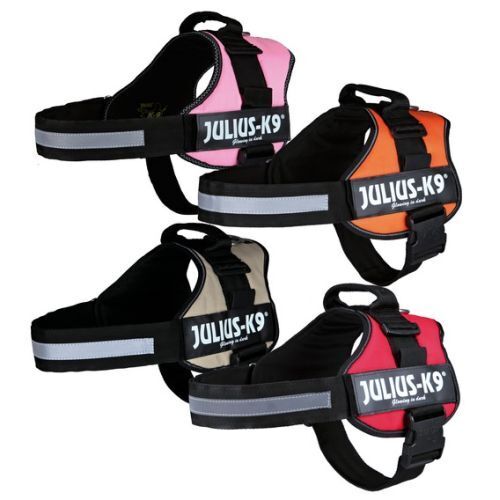 Hundegeschirr Powergeschirr Julius K9 ergonomisch Hund Klettsticker Haltegriff - Bild 11 von 30