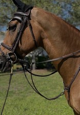 Dzia Sport Equine Raised Running Martingale Attachment SZ FULL