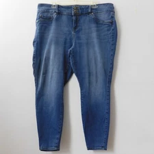 Torrid Jeans Blue Denim Pants Skinny Jean Jegging 148862 High Rise 20 20S
