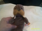 Vtg. Ty Beanie Baby-Jolly the Walrus-Style 4082-org tags-DOB 12/2/1996